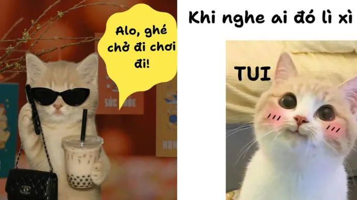 Bộ sưu tập 50+ ảnh meme lì xì Tết hài hước, bá đạo, dễ thương 2026