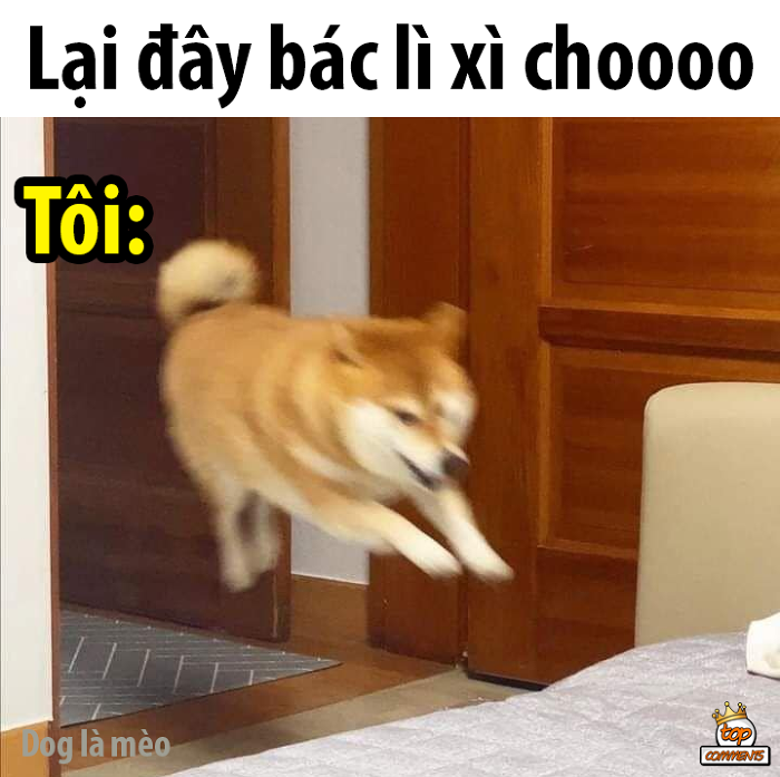 Top 20 hình ảnh lì xì hài hước, bá đạo nhất 2026