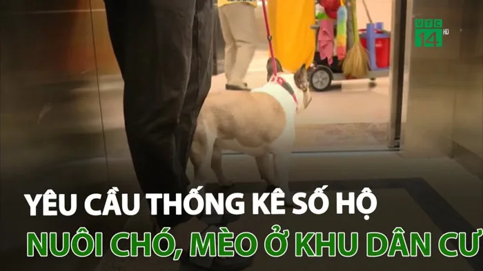 Yêu cầu thống kê số hộ nuôi chó, mèo ở khu dân cư | VTC14