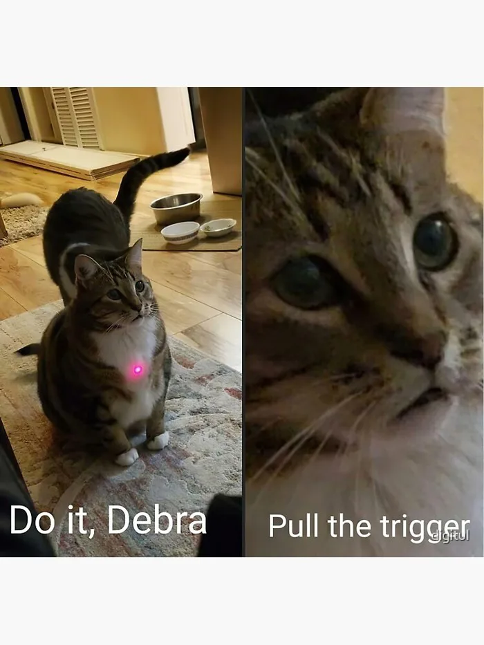 HD Do it Debra, Pull the Trigger - Funny Cat Meme Image