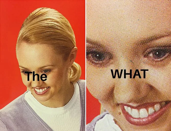 The What Meme Generator - Piñata Farms - The best meme generator and meme  maker for video & image memes