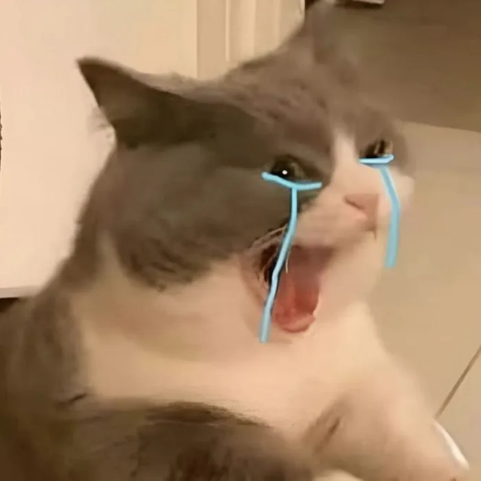 Các mẫu meme mèo khóc viral nhất cõi mạng và điều thú vị phía sau