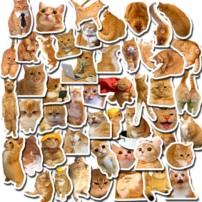 Set 50 sticker mèo cam, meme mèo vàng vui nhộn dễ thương M000225 | Shopee  Việt Nam