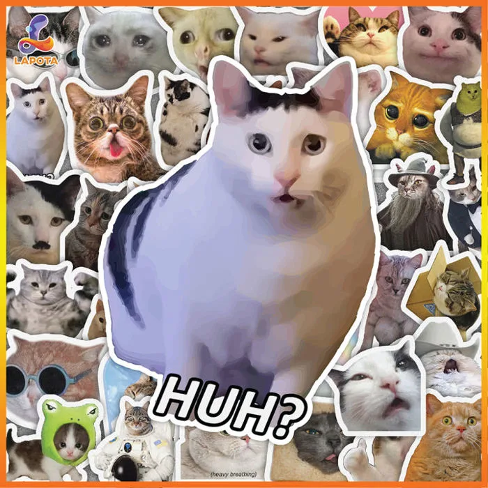 Set 50 cái Sticker Mèo Meme, Sticker Meme Mèo Chống Nước, Hình dán Chó Mèo  dán mũ bảo hiểm, dán laptop, dán xe, vali, sticker chống thấm nước, sticker  cute giá rẻ |