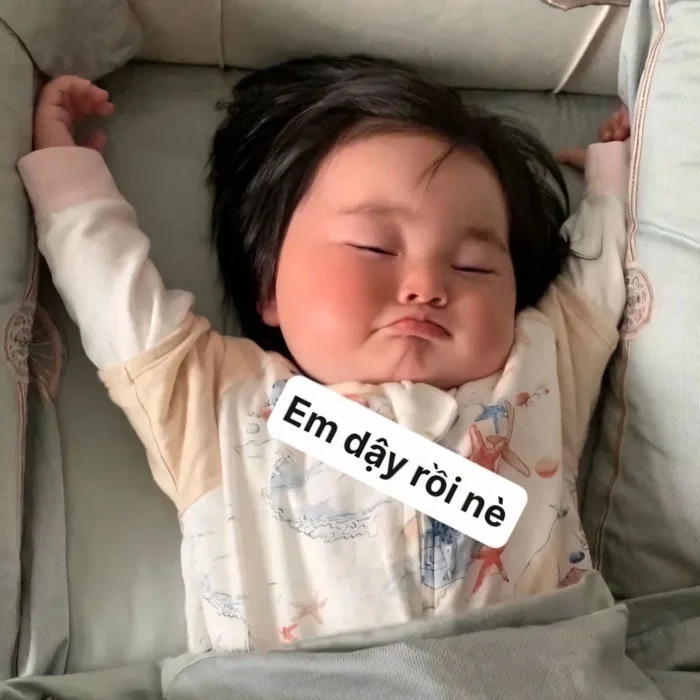 100.000+ Hình Ảnh Mệt Mỏi Đáng Yêu 🥱🍵🤗, Hài Hước, Cute, Ngủ Sập Nguồn