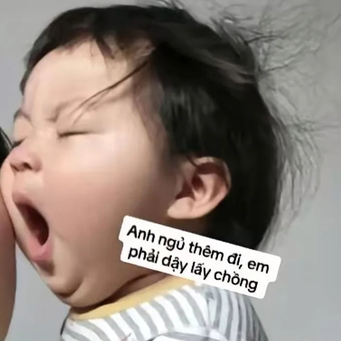 100.000+ Hình Ảnh Mệt Mỏi Đáng Yêu 🥱🍵🤗, Hài Hước, Cute, Ngủ Sập Nguồn