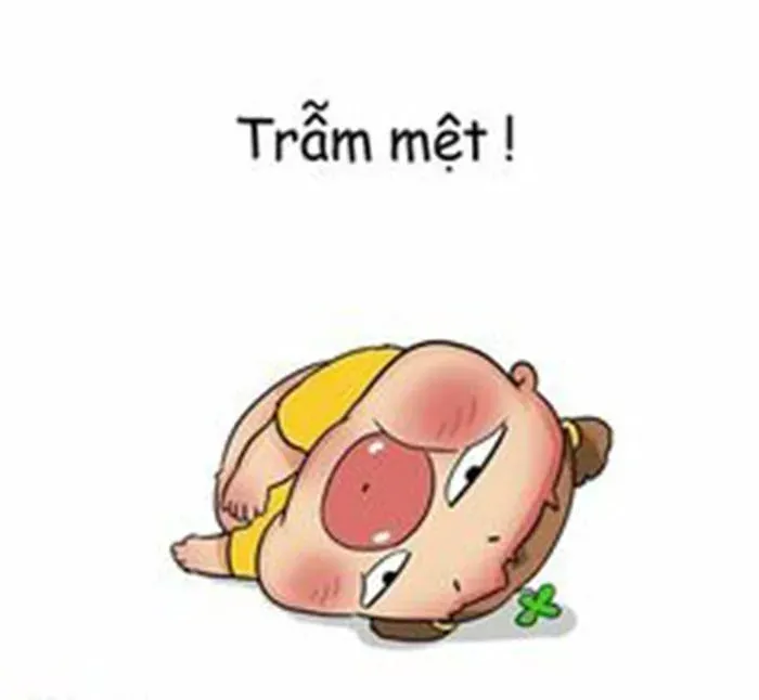 Tổng hợp ảnh meme mệt mỏi hài hước, dễ hiểu nhất