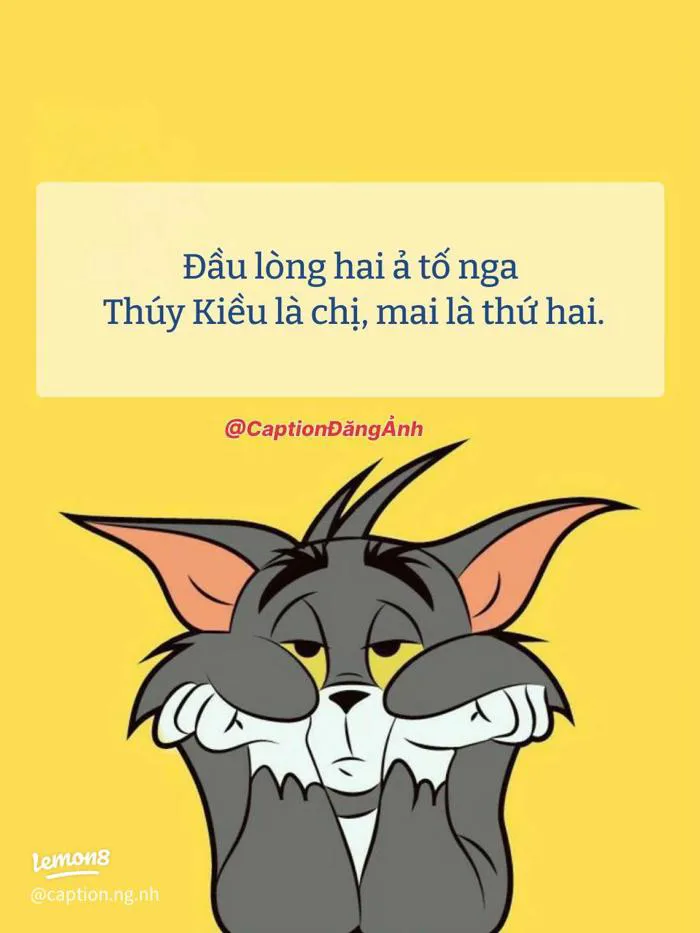 Status hài hước cho dân đi làm: meme mèo mệt mỏi, thơ chế 