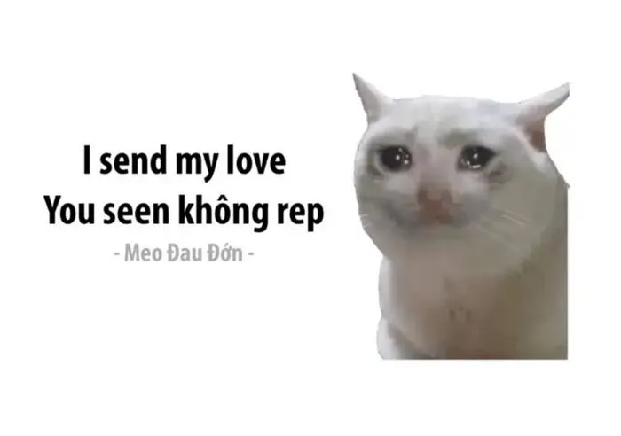 Lưu ngay loạt ảnh meme mệt mỏi nhưng siêu hài hước khiến người xem phải bật  cười