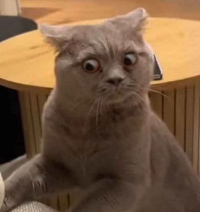 meme-ngac-nhien-1
