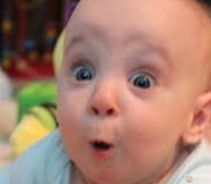 Meme ngạc nhiên surprise, ảnh chế hài hước đỉnh cao 2025