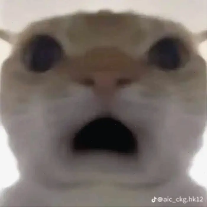 180+ Meme Sốc Biểu Cảm Choáng Váng Biến Tình Huống Khó Đỡ Thành Ảnh Chế Hài  Hước