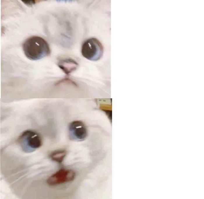 Mẫu mèo ngạc nhiên : r/MemeTemplatesOfficial