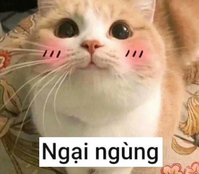 Giới thiệu bộ ảnh meme ngại ngùng đa dạng biểu cảm cực đáng yêu, mời bạn  tải ngay