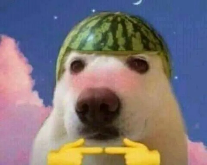 Bộ sưu tập meme đáng yêu về sự ngại ngùng, đỏ mặt và e thẹn