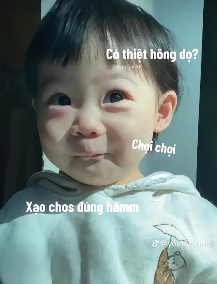 Meme ngại đỏ mặt | Tom và jerry, Chuyện tào lao, Cười