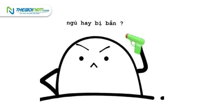 Top 20+ ảnh meme chúc ngủ ngon độc đáo