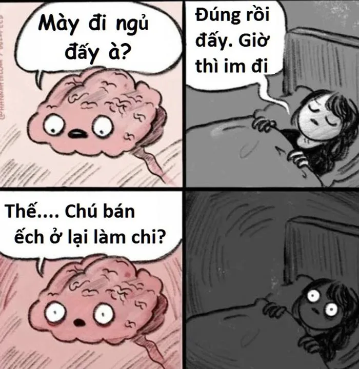 Meme 