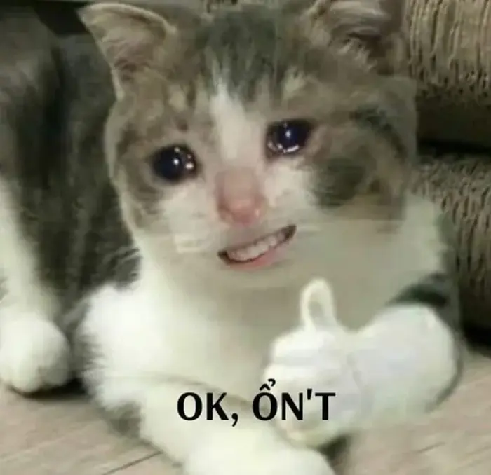 Tổng hợp ảnh ok meme hài hước khiến bạn bật cười cả ngày Tổng hợp ảnh ok meme hài hước khiến bạn bật cười cả ngày