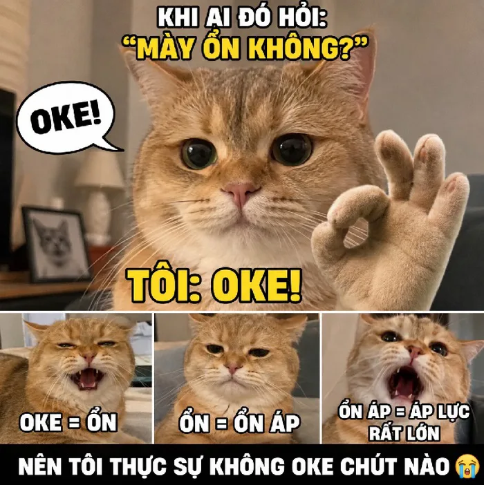 142+ Meme Mèo OK chất lừ bá đạo cười sặc cơm cả ngày 142+ Meme Mèo OK chất lừ bá đạo cười sặc cơm cả ngày