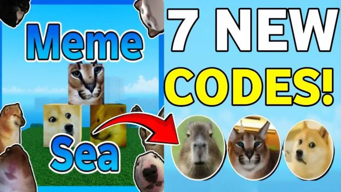 Code Meme Sea update 5.0 mới nhất 09/2026 | Cách nhập Code Meme Sea update 5.0 mới nhất 09/2026 | Cách nhập