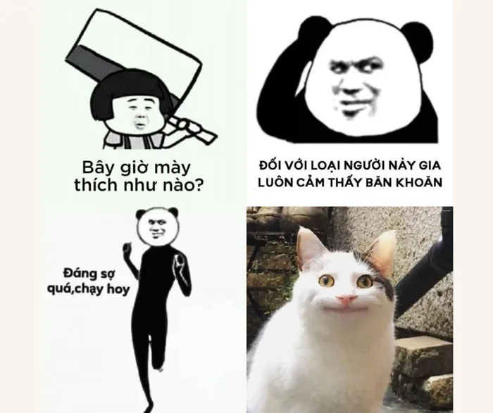 Bộ sưu tập ảnh meme hài hước nhất hiện nay