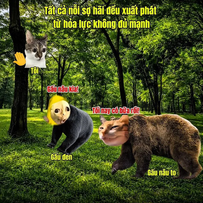 Mọi nỗi sợ hãi đều xuất phát từ hỏa lực không đủ #meme #catmeme
