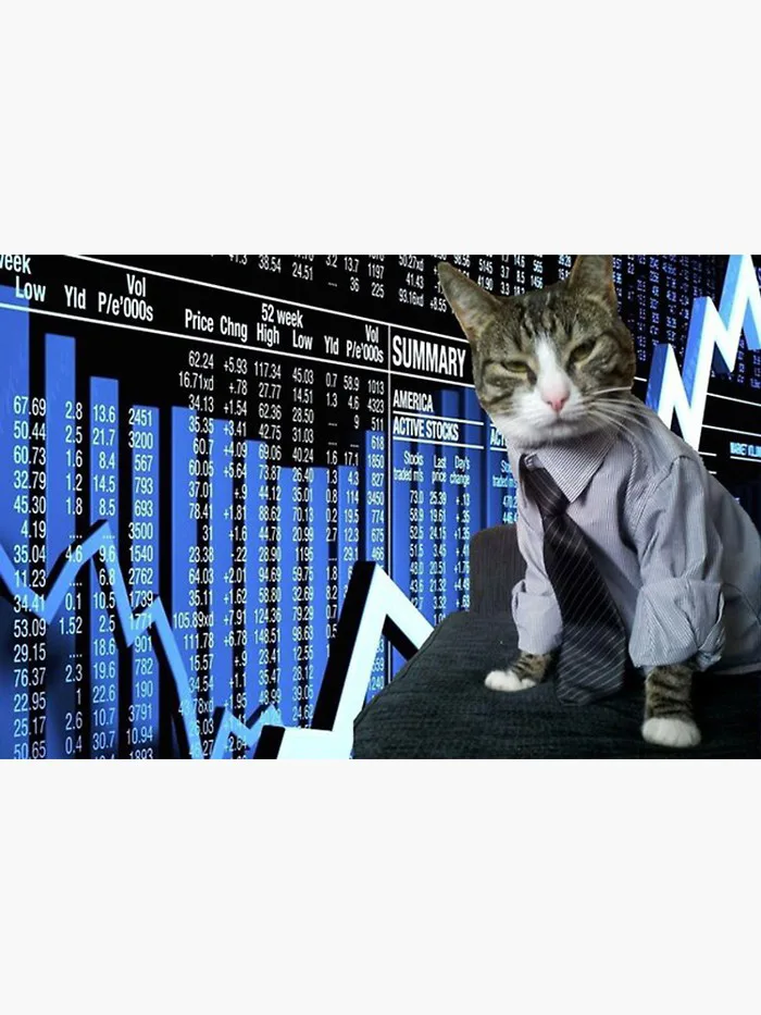 Stonks Business Cat Design Meme Stonks Business Cat Design Meme