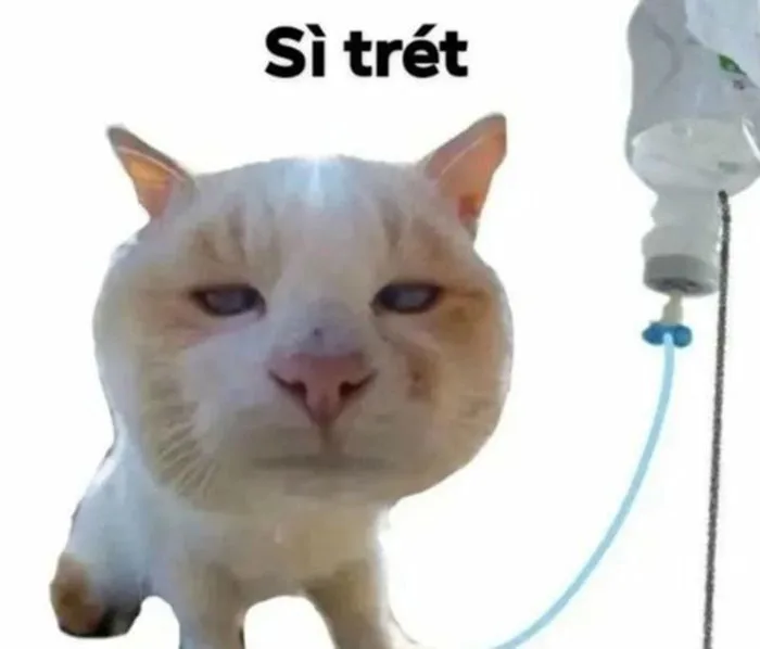 Tổng hợp meme suy nghĩ, suy tư chế hài hước cực tếu