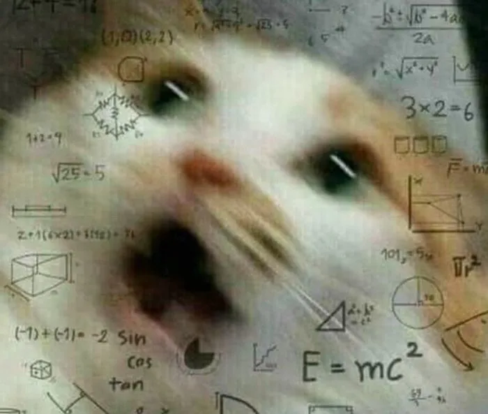 Tổng Hợp 99+ Meme Suy Nghĩ Hài Hước, Hóm Hỉnh 2026