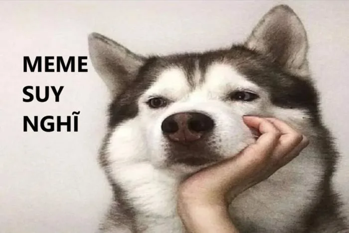 Mời bạn tải ngay loạt meme suy nghĩ, trầm tư và hài hước để nhắn tin