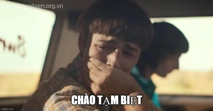Story » BST 70 Ảnh Meme Tạm Biệt độc lạ, hài hước cho khoảnh khắc chia tay  rộn ràng tiếng cười