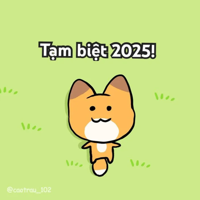 Tạm biệt 2025 #caotrau #happynewyear #chucmungnammoi2026
