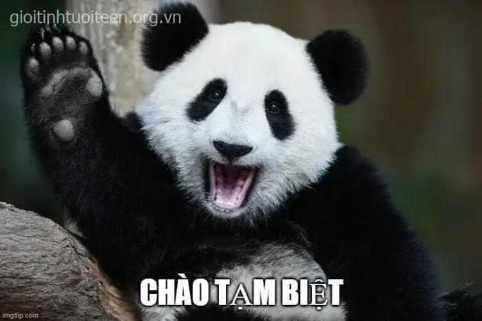 BST 70 Ảnh Meme Tạm Biệt độc lạ, hài hước cho khoảnh khắc chia tay rộn ràng  tiếng cười