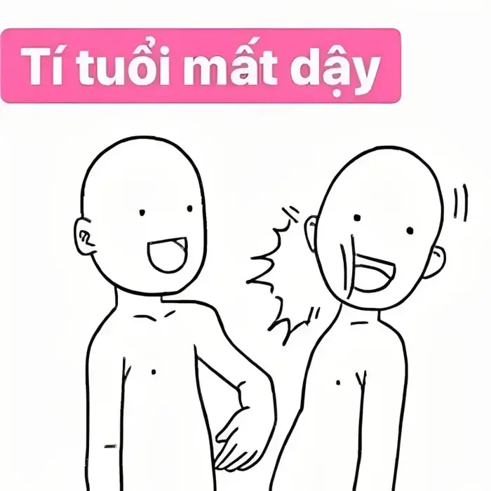 Full bộ 50+ Meme Tát Vào Mặt phản ứng hài hước khi ai đó khiến bạn khó chịu