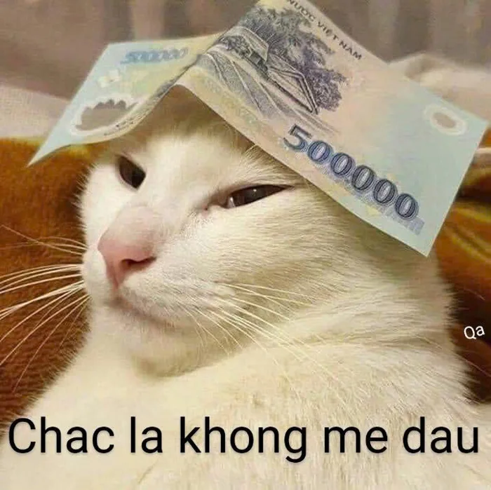 Tổng hợp meme tiền - Cơn sốt mạng xã hội với trò đùa của giới trẻ, khám phá  thế giới meme tiền qua lăng kính hài hước