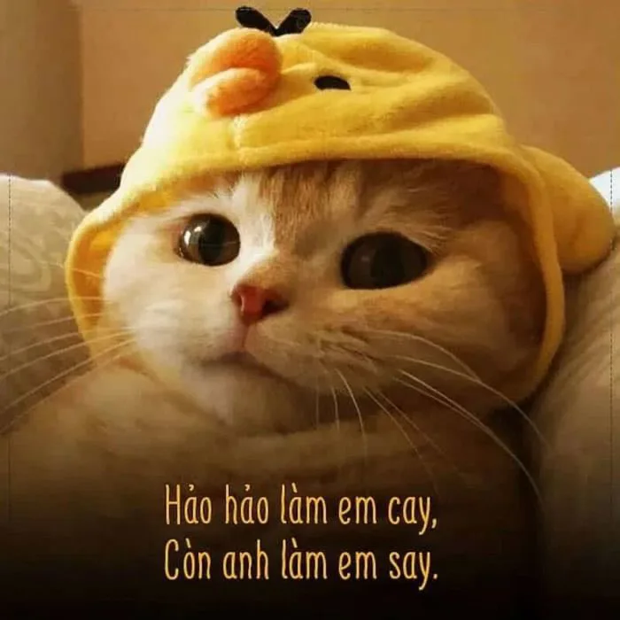 Tổng Hợp 999+ Meme Tình Yêu Dễ Thương, Cute Nhất 2026
