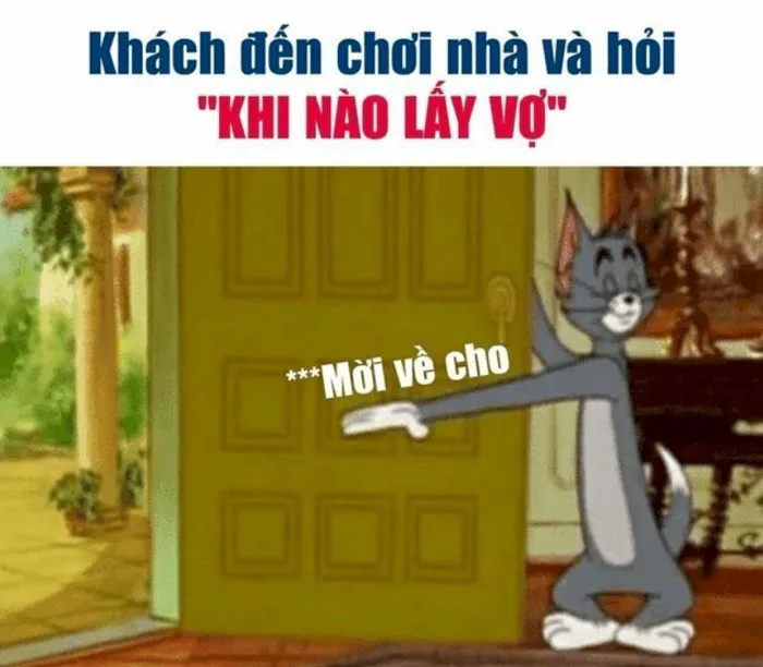 Top 101 ảnh meme mèo Tom hài hước, cute tải xuống miễn phí