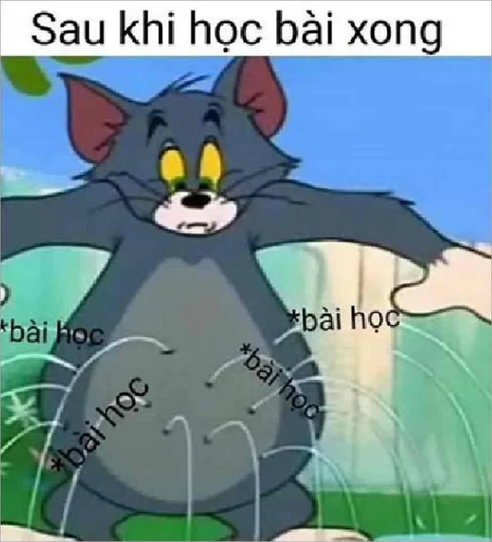 Tổng hợp những hình ảnh Tom and Jerry meme siêu hài hước khiến bạn bật cười  ngay khi nhìn thấy