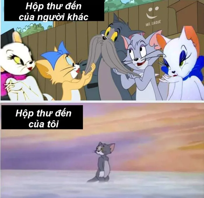 Bộ sưu tập hình ảnh meme Tom and Jerry hài hước