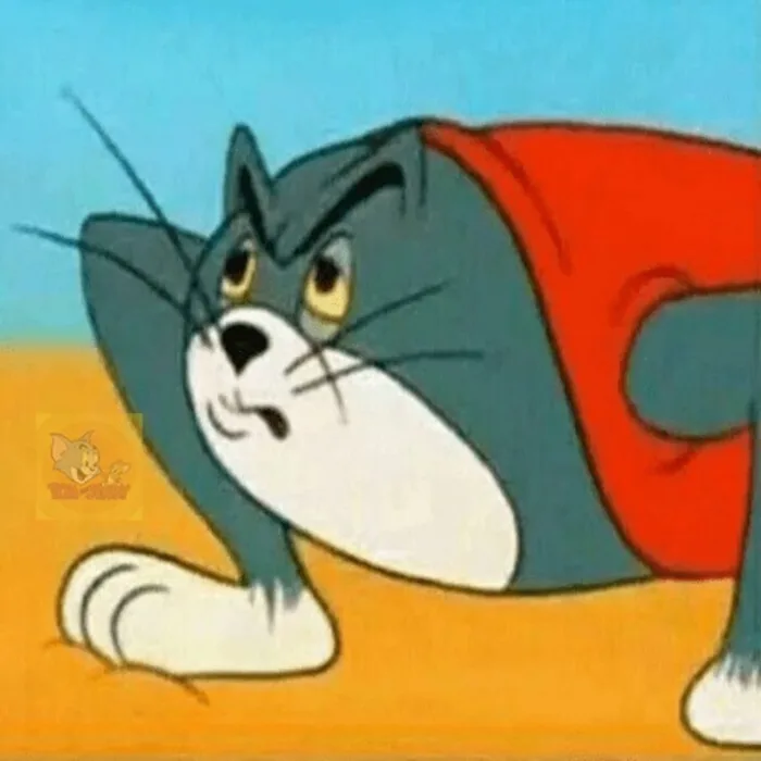 TOP 50+ hình ảnh tom and jerry meme cực troll, cười vỡ bụng | Yody