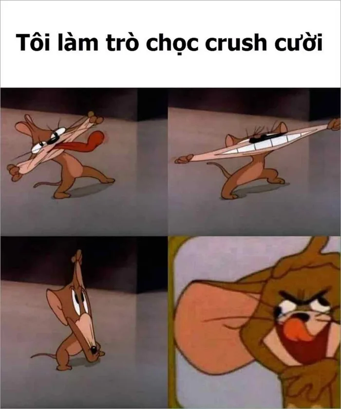 Tổng hợp những hình ảnh Tom and Jerry meme siêu hài hước khiến bạn bật cười  ngay khi nhìn thấy