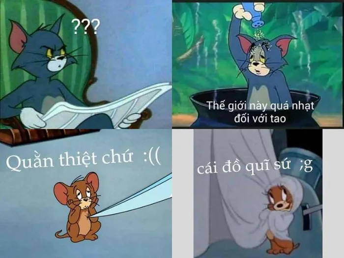 Tổng hợp những hình ảnh Tom and Jerry meme siêu hài hước khiến bạn bật cười  ngay khi nhìn thấy