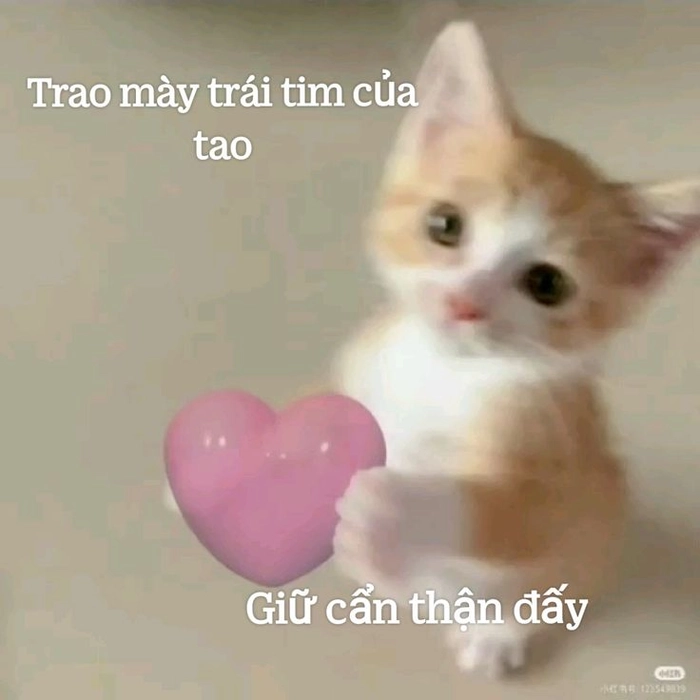 188+ Meme Thả Tim bắn tim bựa cute siêu đáng yêu