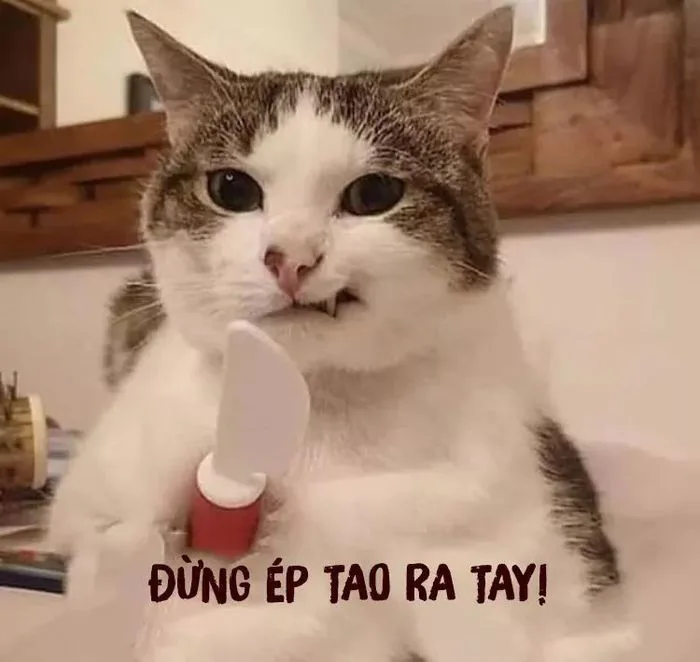Avatar độc đáo với phong cách troll hài hước