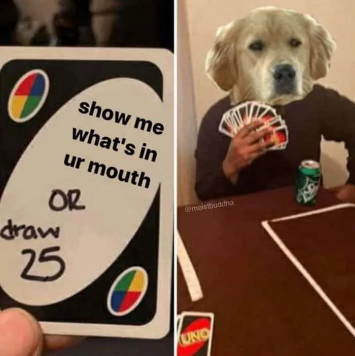 The 19 Funniest 'Or Draw 25' Uno Memes We Could Find