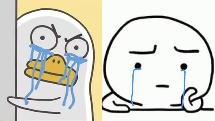 Meme là gì? Tổng hợp 10+ meme được sử dụng nhiều nhất