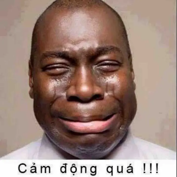 Bộ sưu tập ảnh meme vui nhộn khiến bạn cười không ngớt