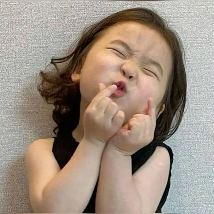 Tổng hợp Top 100+ ảnh meme thú vị, hài hước nhất 2024