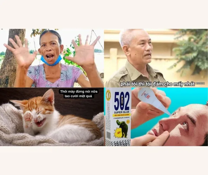 Bộ sưu tập ảnh meme hài hước nhất hiện nay